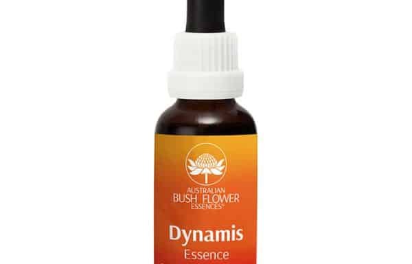 AFD010: Dynamis Combination Drops